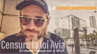 Le Conseil constitutionnel censure la loi Avia contre la haine en ligne Actu [upl. by Gasperoni445]