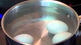 Boiled eggs How to to properly boil an egg [upl. by Casta470]