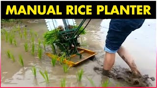 Manual Rice Planter  Manual Paddy Transplanting Machine [upl. by Yanetruoc]