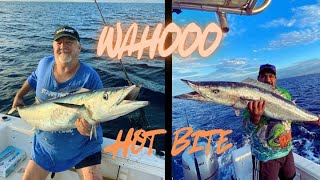 Exmouth Fishing Wahoo going OFF [upl. by Eledoya]