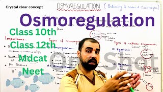 Osmoregulation  Hypotonic  hypertonic  isotonic 12th  mdcat  oneshot  ​GoldenEraScience [upl. by Ahseina]