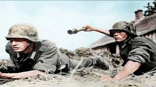 WW2 Battle Of Stalingrad Intense Footage [upl. by Alcine525]