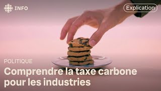 Cest quoi la taxe carbone des industries [upl. by Sardse756]