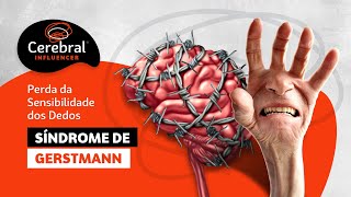 SÃ­ndrome de Gerstmann  Perda da Sensibilidade dos Dedos Cerebral Influencer [upl. by Adnaugal]