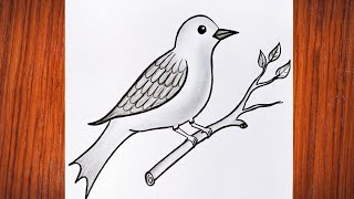 Bird drawing Simple bird drawing pencil shading drawing How to draw bird🐦 [upl. by Picardi915]