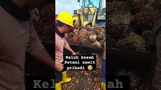 Pabrik sawit sortase bikin petani sawit pribadi ngeluh🥺 petanikelapasawitindonesia petanimilenial [upl. by Asylla]