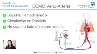 Fisiología Cardíaca en ECMO  Karen Pertuz [upl. by Dionis141]