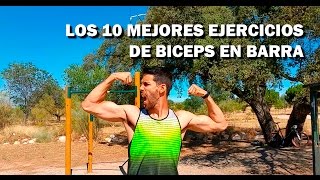 Los 10 mejores ejercicios de bíceps en barras [upl. by Rimisac]