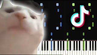 Cat Vibing to Ievan Polkka MEME  Piano tutorial [upl. by Samuel]