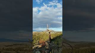 Riding the Bluff edge  Greenstone Mtn Kamloops shorts mtbbc [upl. by Oringa]