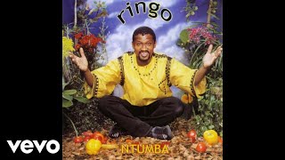 Ringo Madlingozi  Mkhululeni Official Audio [upl. by Uamak]