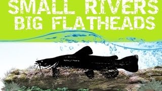 Small Rivers Big Flatheads [upl. by Boswall]