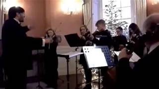 Donegal Chamber Orchestra at Rockhill House [upl. by Nettle865]