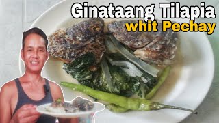 Ginataang Tilapia whit Pechay highlights Ginataang Tilapia Recipe Panlasang Pinoy Lutong Pinoy [upl. by Gitlow]