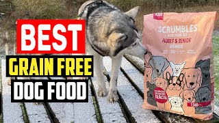 ✅Top 5 Best Grain Free Dog Food in 2024 [upl. by Aleusnoc]