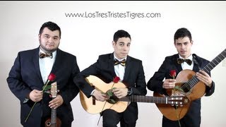 Los Tres Tristes Tigres quotCanción sinceraquot [upl. by Secunda190]