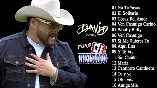 David Olivarez Puro Tejano Mix  David Olivarez Greatest Hits [upl. by Oag]