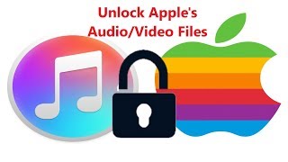 DRM Removal For Apple AudioampVideo File How to Remove Apple Music MP4M4 Protection [upl. by Corbie]