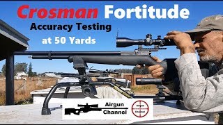 Benjamin FORTITUDE Review 2 Accuracy Testing  50 Yards [upl. by Marlow]