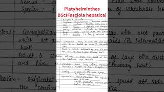 Type Study  Fasciola hepatica  BSc Zoology  Full Notes in Description [upl. by Alderman816]