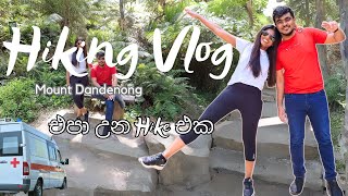 Hiking Mount Dandenong  සිංහල vlog [upl. by Anohs]