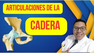 ARTICULACIONES DE LA CADERA [upl. by Codi447]