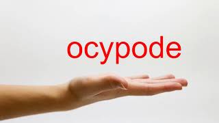 How to Pronounce ocypode  American English [upl. by Merell45]