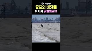 바닷물이 강물처럼 막 밀고 들어오는데 아저씨가 물에 걸어서 들어갔어요 보는 내내 심장 떨림 고온항 서해바다투망중 순간포착 castnet fishing pesca [upl. by Rosenberger]