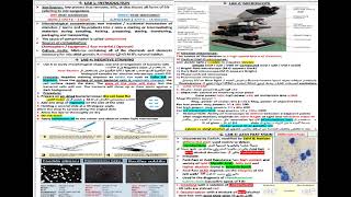 SHEET FINAL REVISION GENERAL MICROBIOLOGY شرح بالعربي [upl. by Marek475]