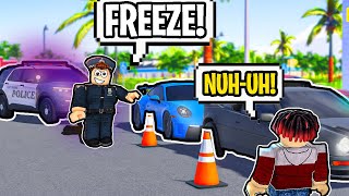 Robbery Led To A “POLICE CHASE” In Roblox South West Florida RP [upl. by Haliled]