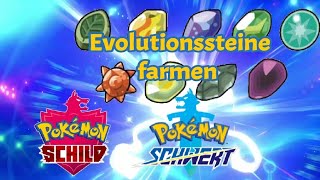 Entwicklungssteine so könnte ihr sie Evolutionssteine farmen  Pokémon Schwert Schild Tutorial [upl. by Otecina]