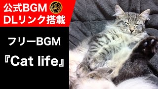 【MV】YouTubeでよく使われるフリーBGM『Cat life』  水溜りボンド定番BGM [upl. by Atwood532]