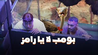 رامز جلال  صريخ حمو بيكا وكزبرة فى مواجهة نعام رامز جاب من الاخر  كزبرة quotبومب لا يا رامزquot [upl. by Divadnahtanoj]