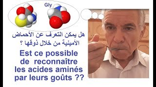 Acides aminés Identification par le goût التعرف على الأحماض الأمينية بالذوق [upl. by Feune427]