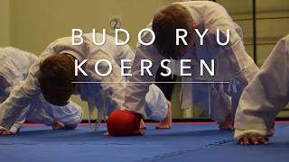 Budo Ryu Koersen Assendelft Karate Kobujutsu [upl. by Editha666]