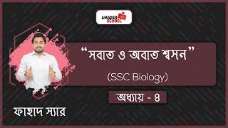 SSC Biology  Respiration  শ্বসন  সবাত ও অবাত শ্বসন [upl. by Sikko442]