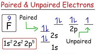 How To Determine The Number of Paired and Unpaired Electrons [upl. by Chloris]