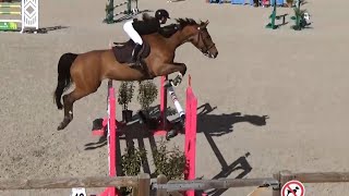 ■ 01042023  Jumping de Fontainebleau  Amateur Elite GP 125 m  Oprah Z  CSO  Clara Maitre [upl. by Ailaro]