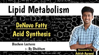 De Novo Synthesis Of Fatty Acids  Lipid Metabolism  Biochemistry Lectures [upl. by Mildrid]