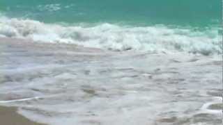 Relaxing Ocean Sounds w Seagulls [upl. by Anilorac]