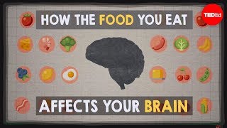 How the food you eat affects your brain  Mia Nacamulli [upl. by Enaerb]