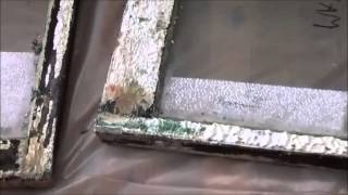 Chemical Stripping of Lead Paint [upl. by Handy364]