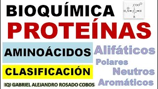 Proteínas Aminoácidos y su Clasificación Alifáticos aromáticos polares ácidos básicos etc [upl. by Cass284]