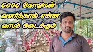 Broiler chicken forming business கோழி பண்ணையில் உள்ள ரகசியங்கள்   தமிழர் நிலம் [upl. by Stanfill430]