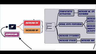 PATHOPHYSIOLOGY OF HEART FAILURE  COMPENSATORY MECHANISMS  RAAS  SNS  CYTOKINES [upl. by Yahc135]