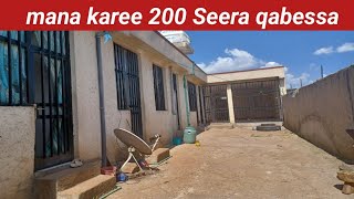 mana gurguraa karee 200 [upl. by Atiekram376]