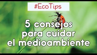 🖐️ 5 CONSEJOS para CUIDAR EL MEDIOAMBIENTE 🌱 parte 1 ☞ EcoTips [upl. by Jotham]