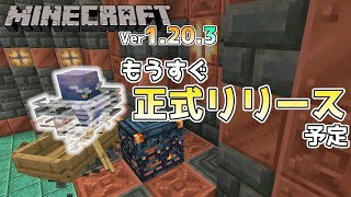 【マイクラ情報】Ver1203 2・3週間後には正式リリース Java版マインクラフト・プレリリース1 今後のアップデート情報 [upl. by Chaker]