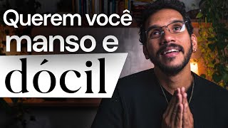 Pornografia Energia Vital e Domesticação Masculina [upl. by Letsirhc]