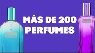 Perfumes Factory Oscarcito 2024 [upl. by Ahsienot]